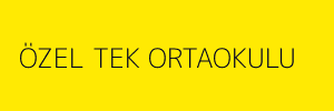 ÖZEL TEK ORTAOKULU